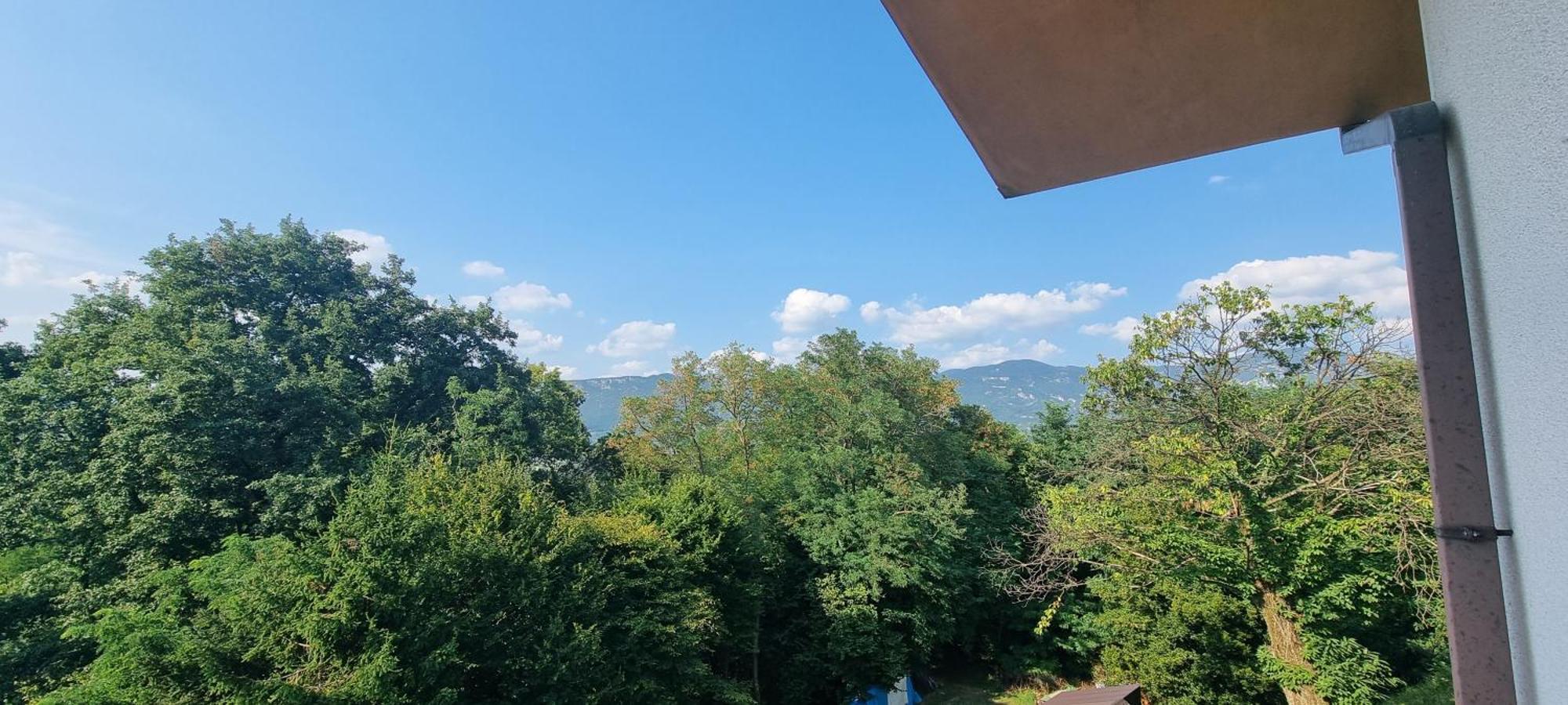 Pri Stari Murvi Vogrsko Εξωτερικό φωτογραφία